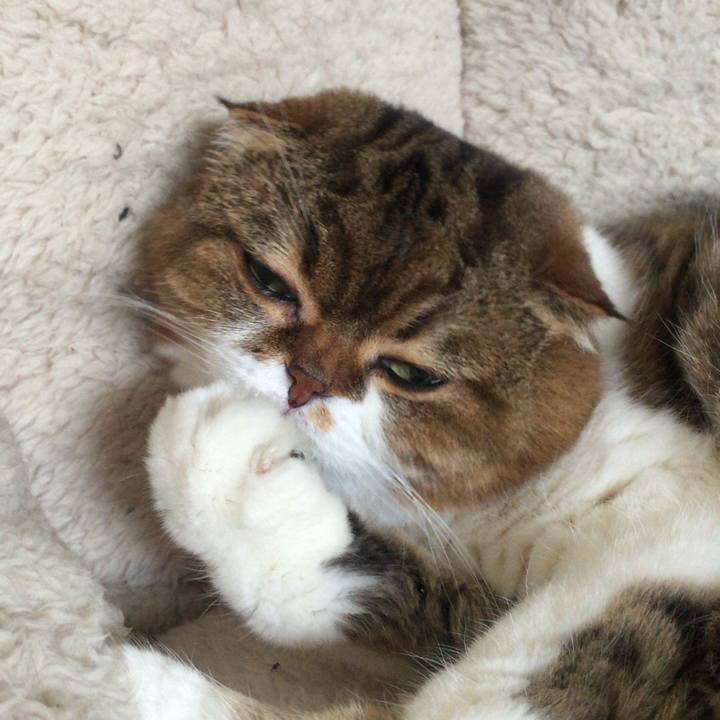 17cbce9a a242 49c8 9d9e 8c280b83f85e