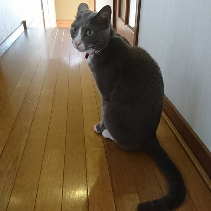 17cc8c47 4ff3 4206 af5f 86783c777633