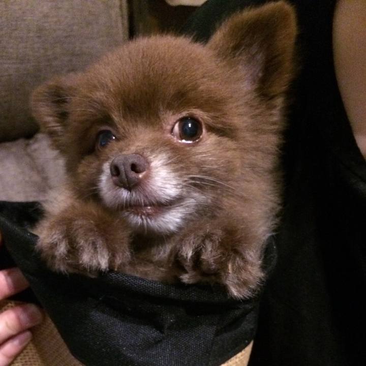 17cc8d5d 4b93 4d78 965c 3fff7a2ac487