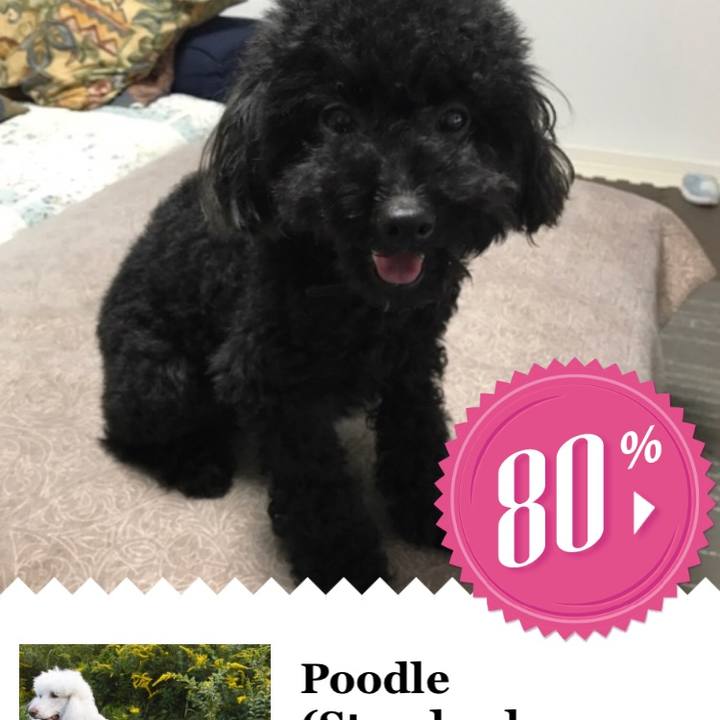 17ccde19 9e95 46c5 950f f1690b7e9569