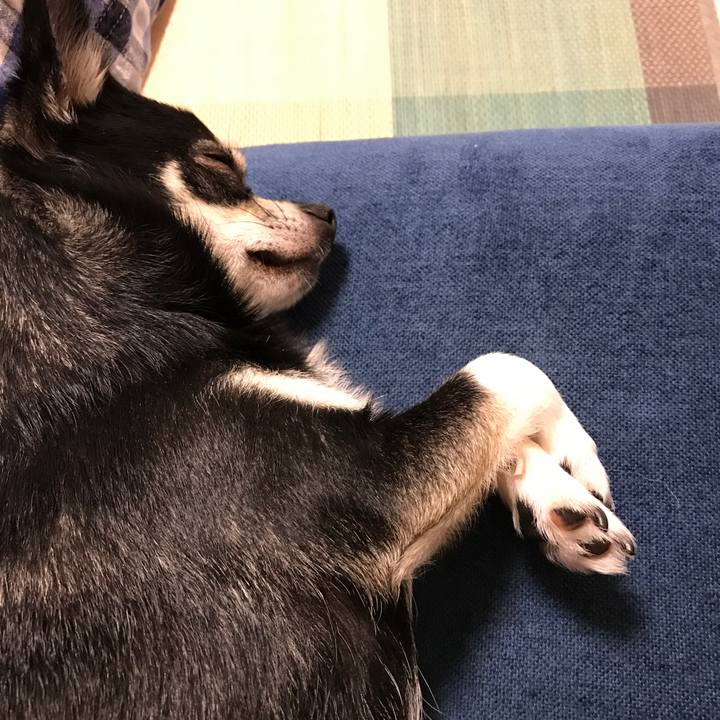 17cdbef7 61db 42c3 a317 7d62514305c7