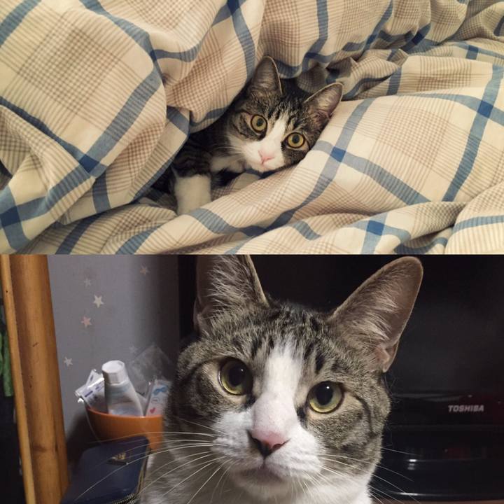 17cddba9 4ff2 4eff 8f35 b409aa8bb969