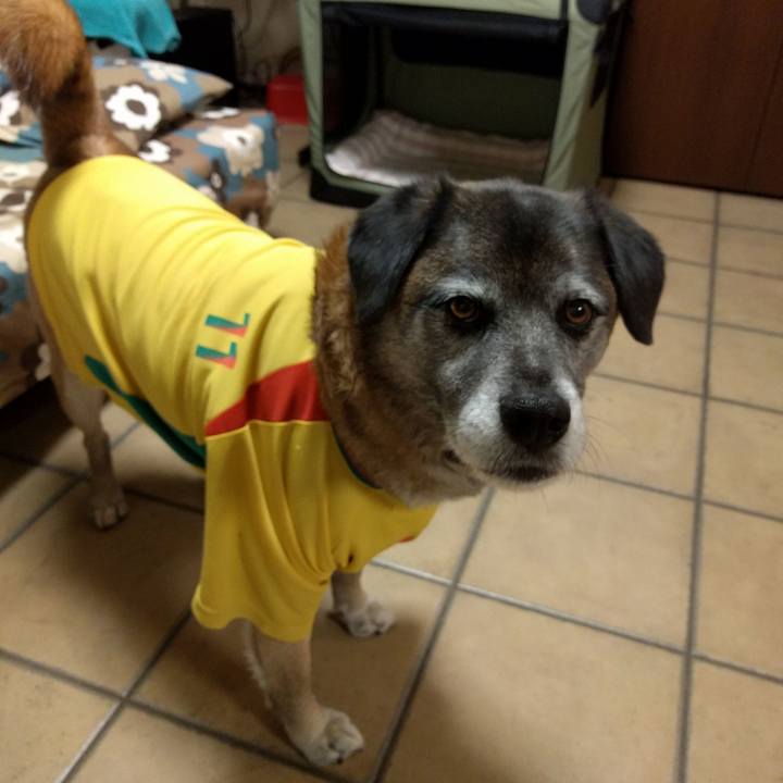 17ce7313 0722 4389 8450 f02c87e2881f