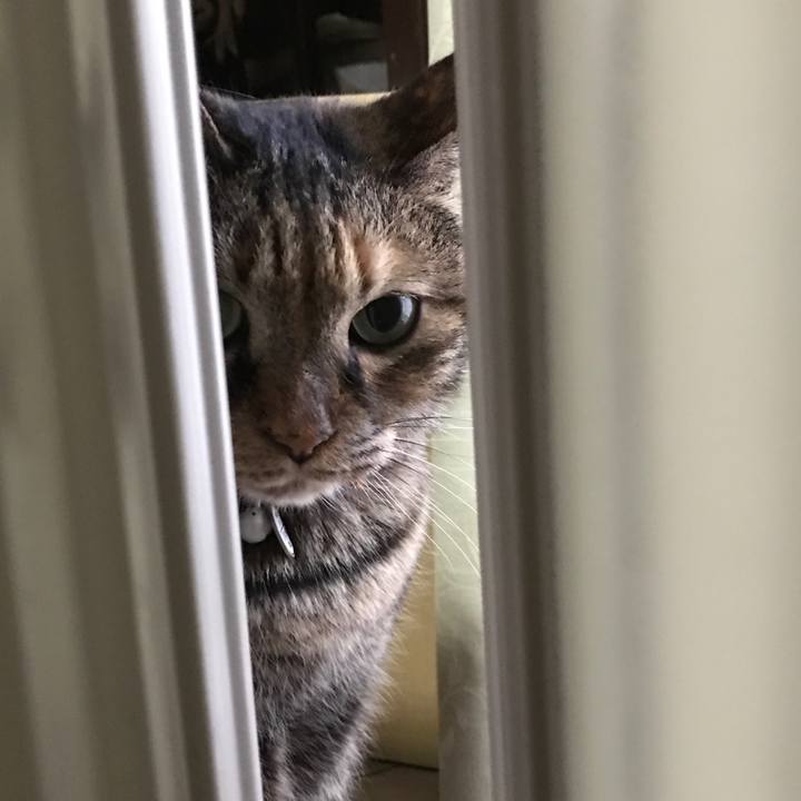 17ced591 6585 40a8 91ab 51f120ce4c84