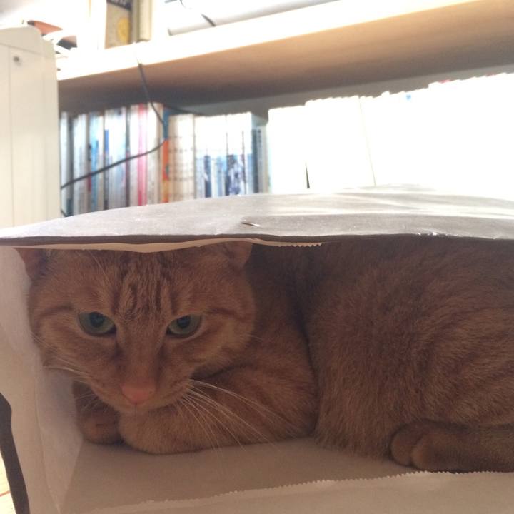 17cf1de3 4935 44b5 a73d c94c930c657d