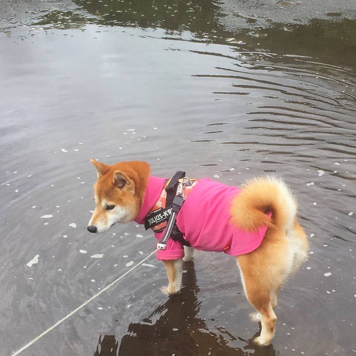 17cf3dd0 090f 44f2 b6be d5023c7e6dde