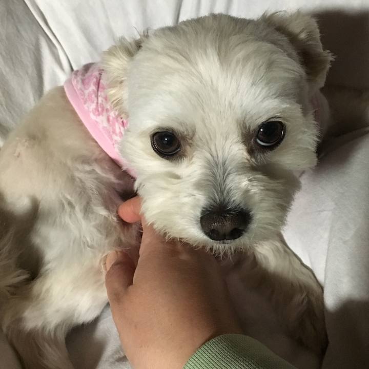 17d02032 2ec5 4c97 9c72 93a7738d16cd