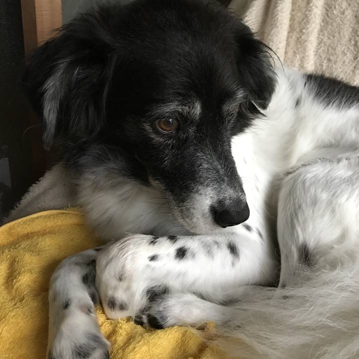 17d02f8b 1221 4053 8f7f 0b5518c6169f