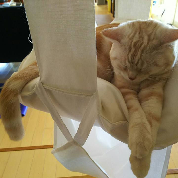 17d04558 9bb9 4d0a 8a94 b07fb11d6d16