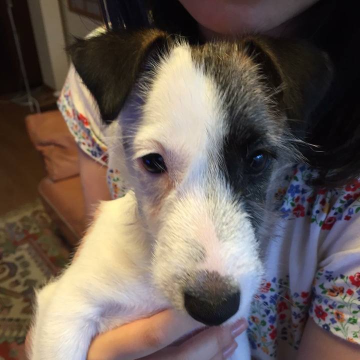 17d18645 37b6 4cc9 9b96 cd22144299b1