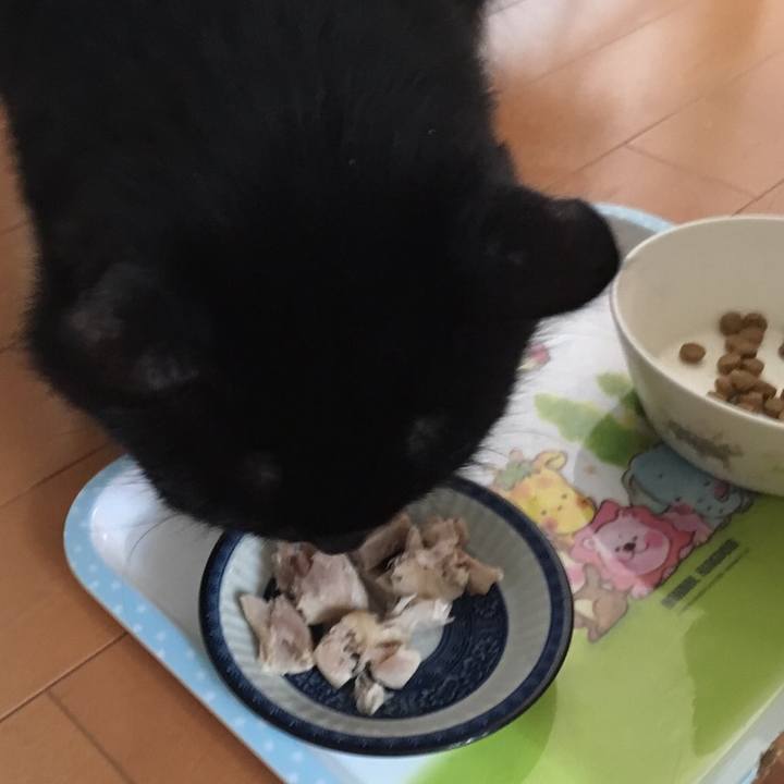 17d1acf5 9663 4bb2 b999 cc8c75f4082a