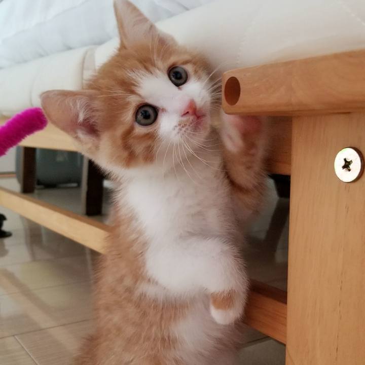 17d2f931 be0d 4619 a85e 6483e839ad9b