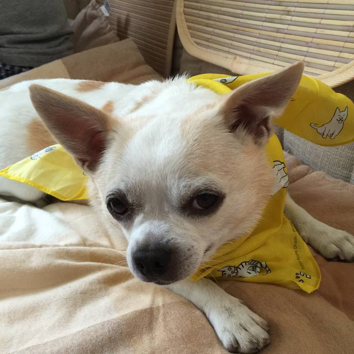 17d3f323 a936 43eb a206 adf4865bd0f2