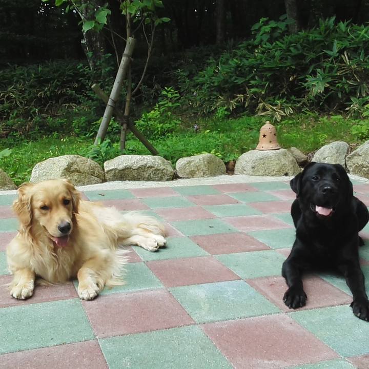 17d43d1f 8fdd 4de5 b48f 7ada242eacb6