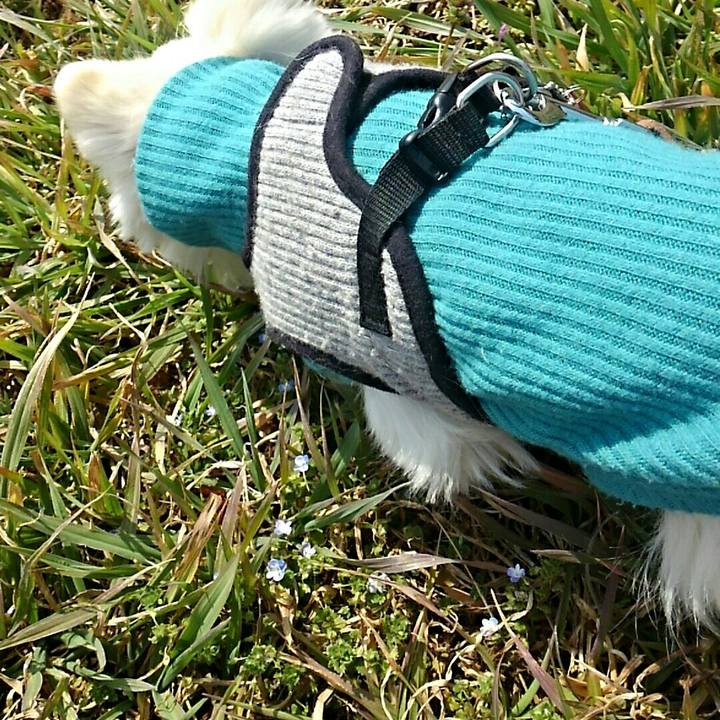 17d46829 0083 41a4 8c53 f3ef1816ffd9