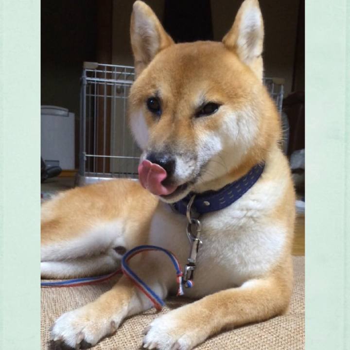 17d4bc08 2dfe 44cf 8bc0 a7462ff830bc