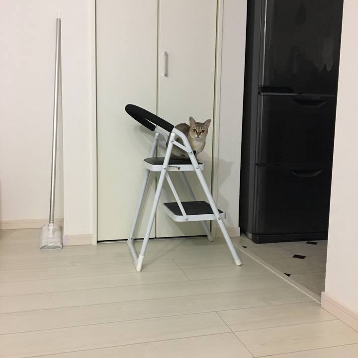 17d52826 ebd6 4980 8e5a 926af2d803ee