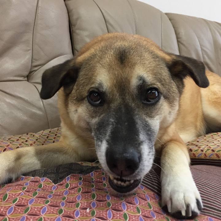 17d573da 86df 4458 b66c 9a1b023b2a4f