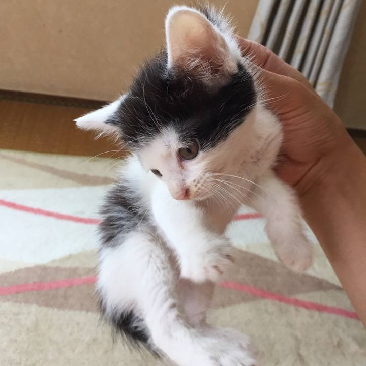 17d5ed69 8931 4002 a6d3 4e084118b8c0