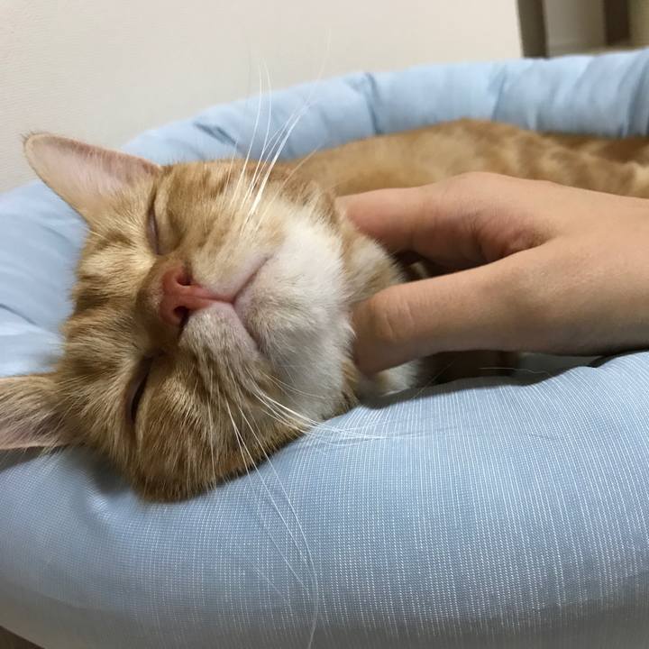 17d63763 4f95 4404 8dc0 27bba7b72745