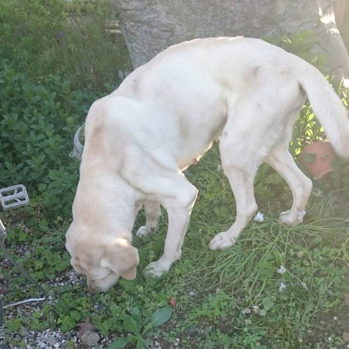 17d77abd 6a88 4e44 9519 5ee17ce16961