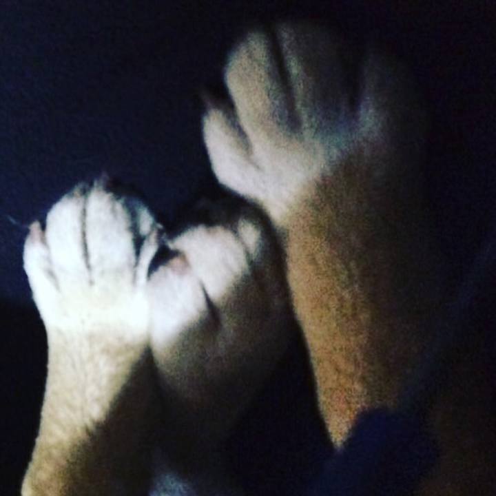 17d7d33f 3984 4588 b586 e329549f02f1