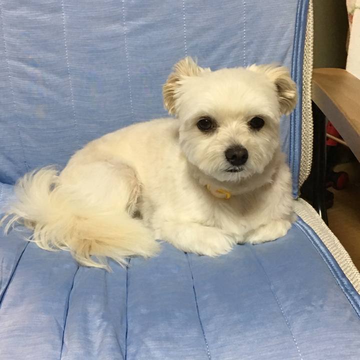 17d7e32c a004 42ad 9167 2c66eee33eec