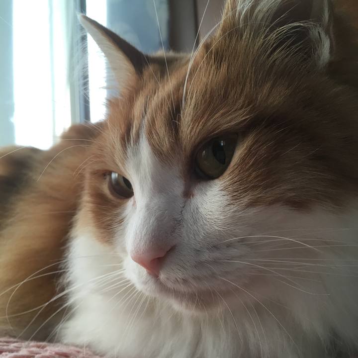 17d84354 28d9 4df7 b05e 675a1f04920a