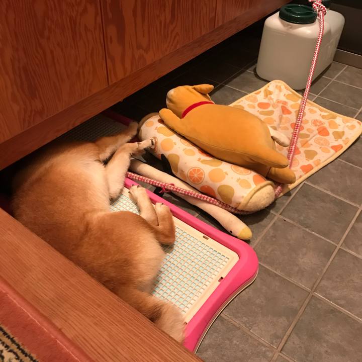 17d84b04 850c 4a83 b8c6 a6500f7458a0