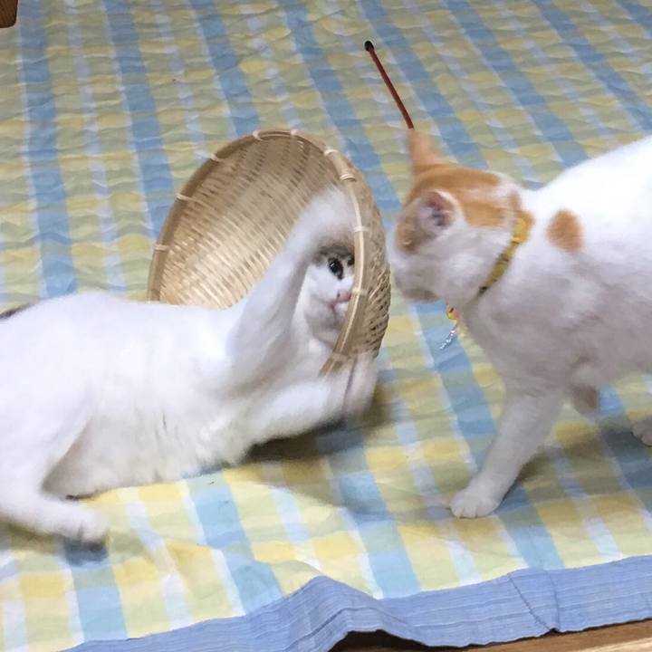 17d885eb b863 4757 881d deff7a77d8fa