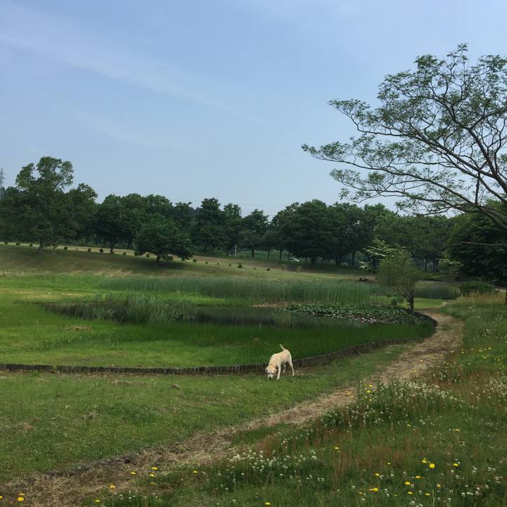 17d89429 690b 4a2f bf9e b4b5ec474f93