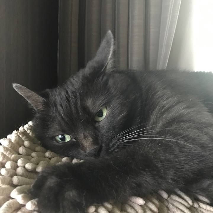 17d9b05f f95b 4eb8 9bdb 68eb623c0553