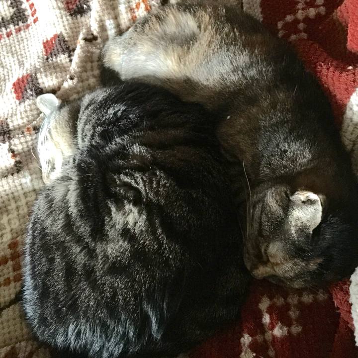 17d9df3e 21cc 49b4 a68b d2dcf1df4e34