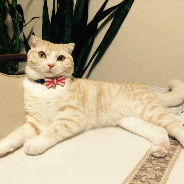 17da5433 36c7 48d8 82a6 9b7779695be7