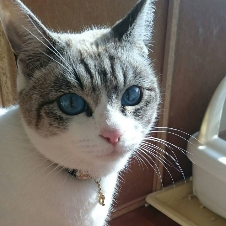 17db1a8d 59da 4c1e b56d 0631986f1545