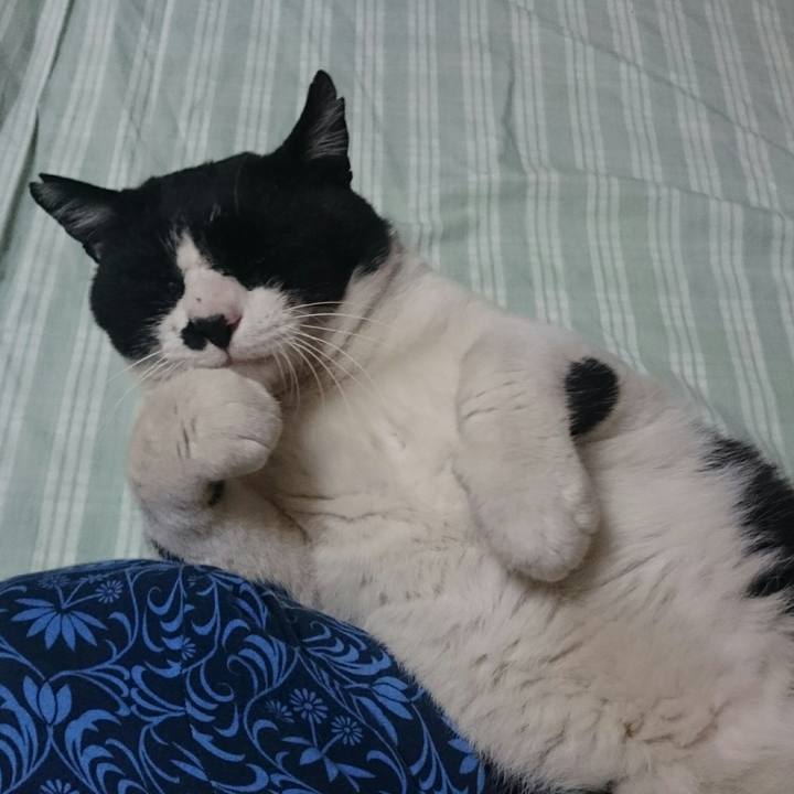 17db1ea3 a028 40be 8b96 251f101a2854