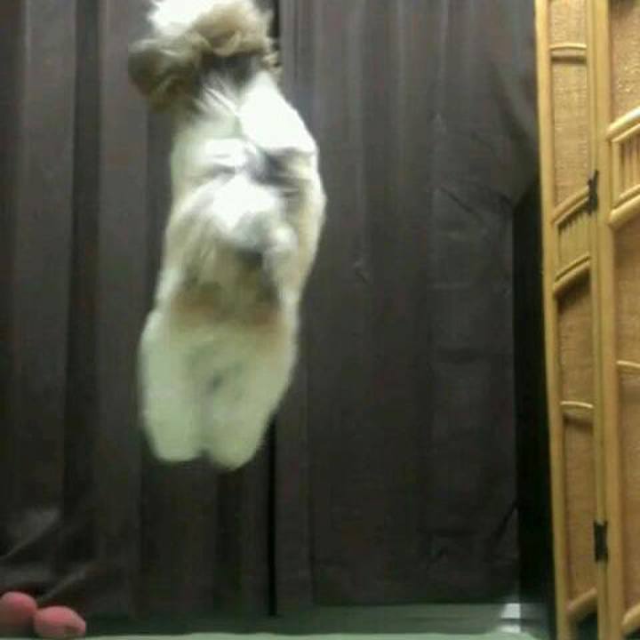 17dbef98 76c2 4e9b 8c7f 68c736308d20