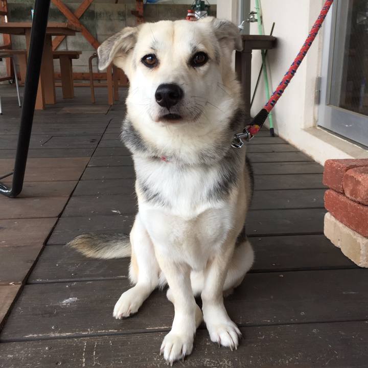 17dc4c4f 19ae 495a 8c2c 81b9baeed785