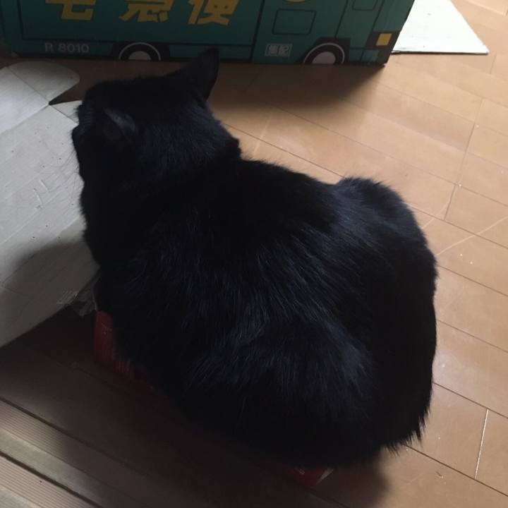 17dc7da7 dea5 422f 8e1e bf33e411f490