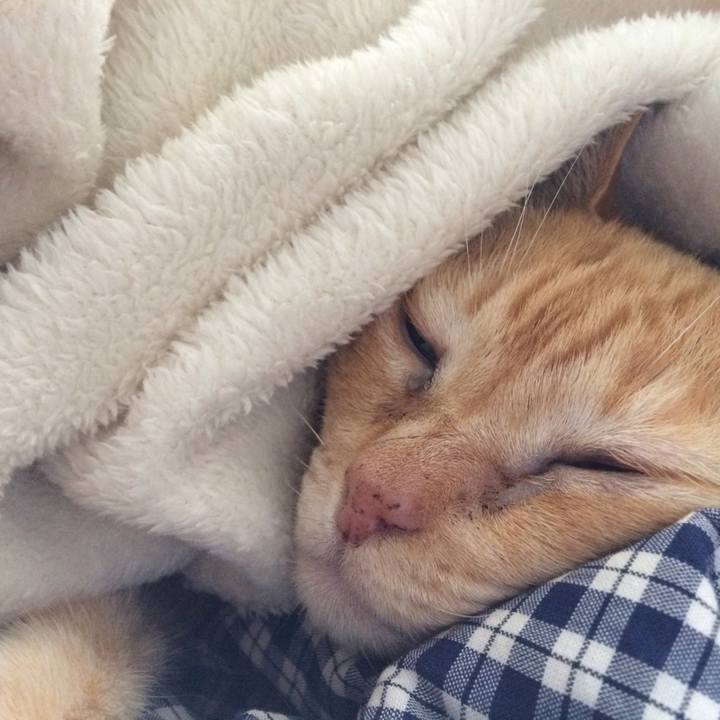 17de636c 9e92 4daf bfbc 402571687d41