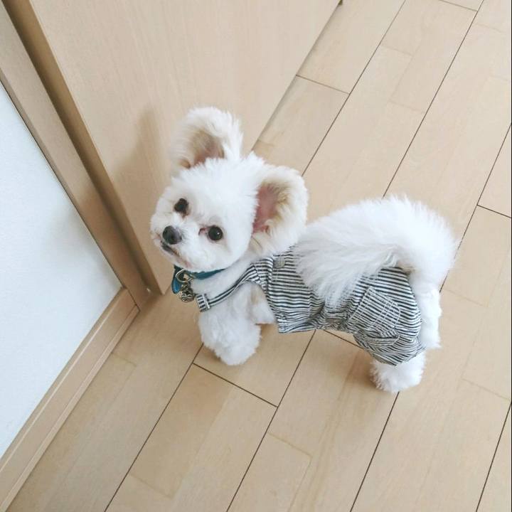 17df2b64 5513 4dae ac79 e1af48858fc3