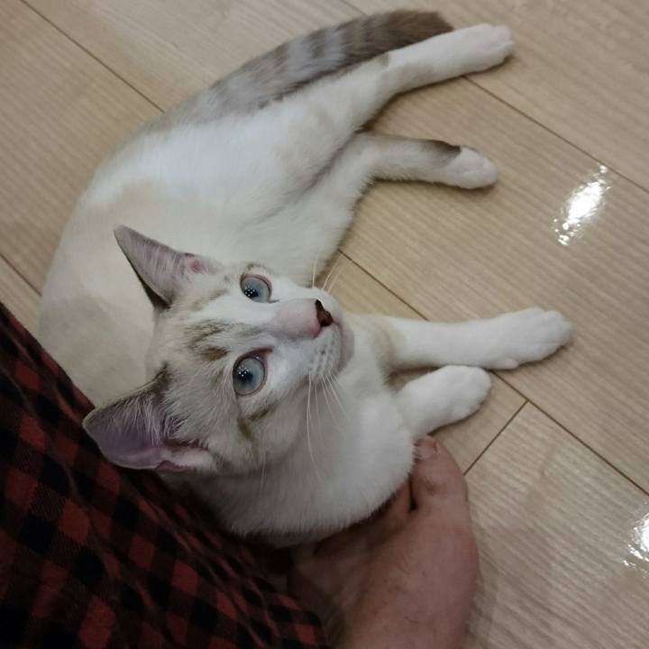 17e00ade e3fc 4443 8f8e 2b2692c08f1e