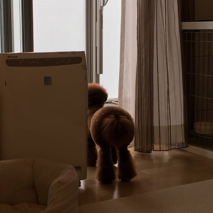 17e04a40 c65e 4308 b8a3 0139cc79cd26