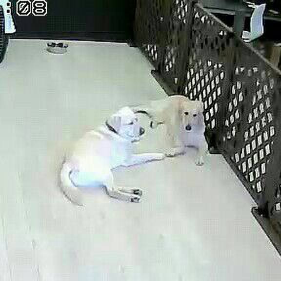 17e04f78 1231 4472 b391 abce550f8fac