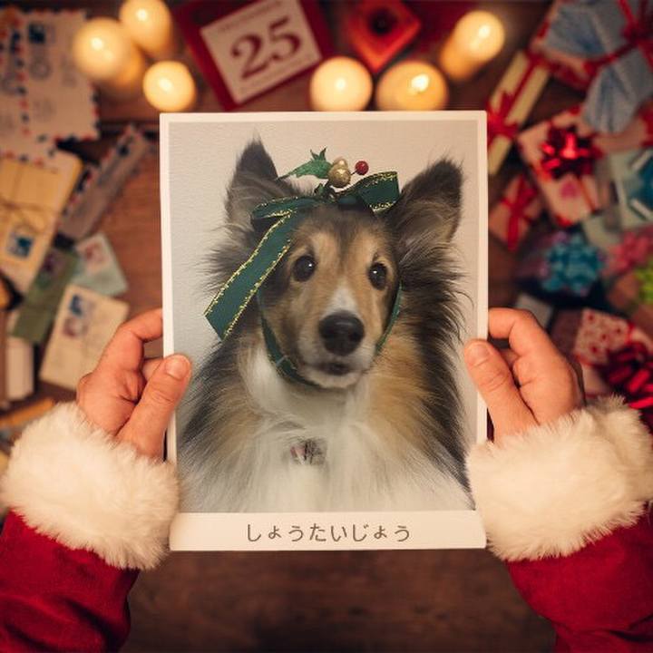 17e13263 29b1 4762 808c 8cb818592a29