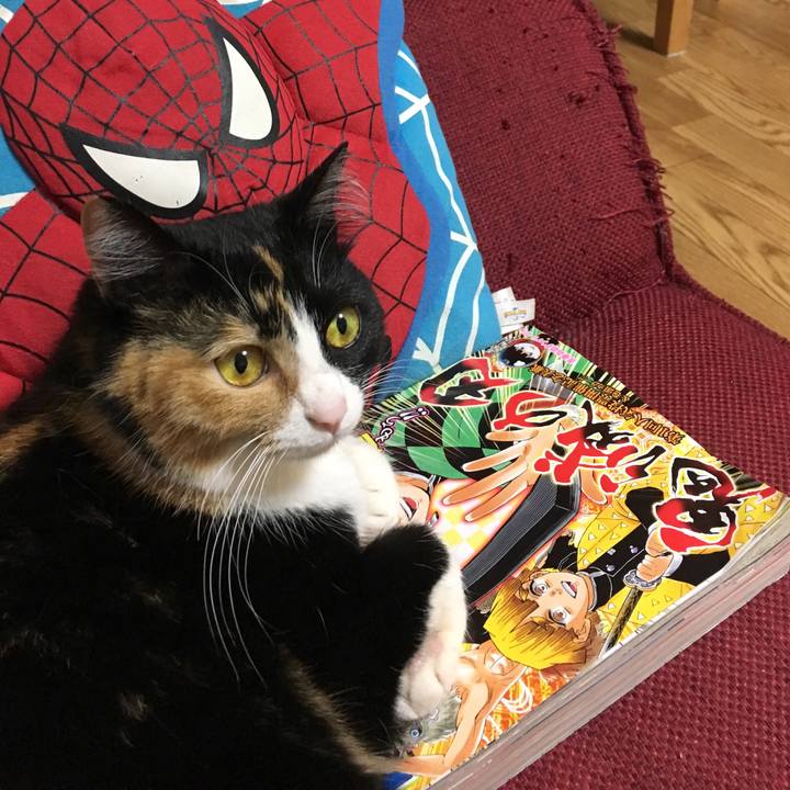 17e136b8 6acd 4a17 b642 fd33ef84d1f7