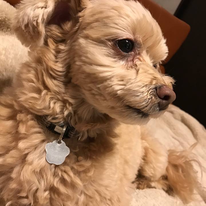 17e22d44 f619 454b a798 7b02c7ad99bb