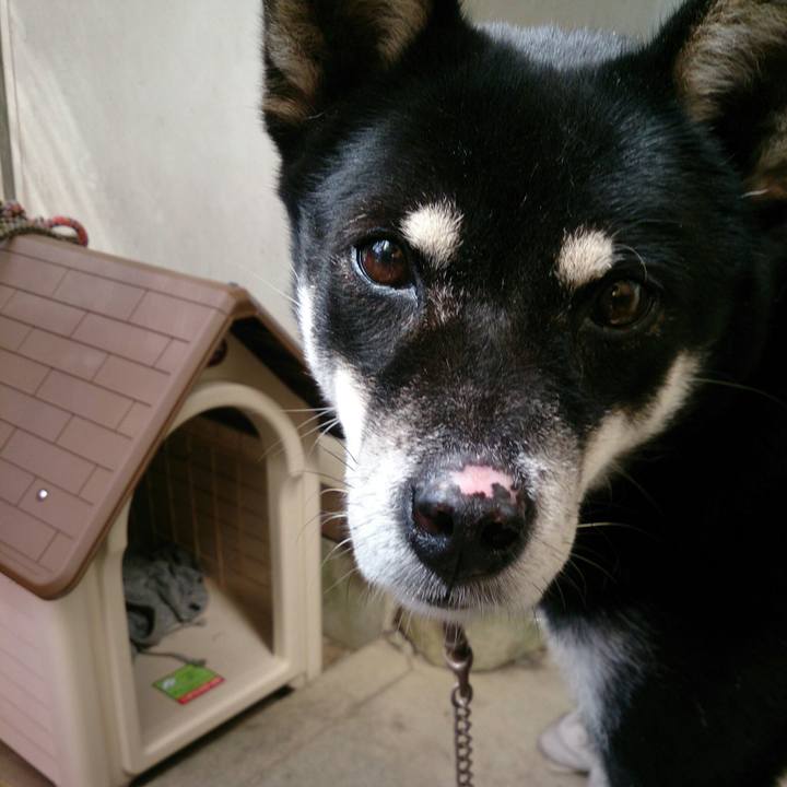 17e2b4f3 dee7 4fbd 86c4 a517378d3f0c