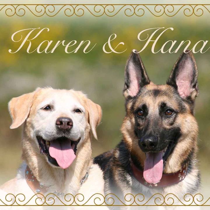 17e2c5c8 6252 432c 87dc 73d453fa1272