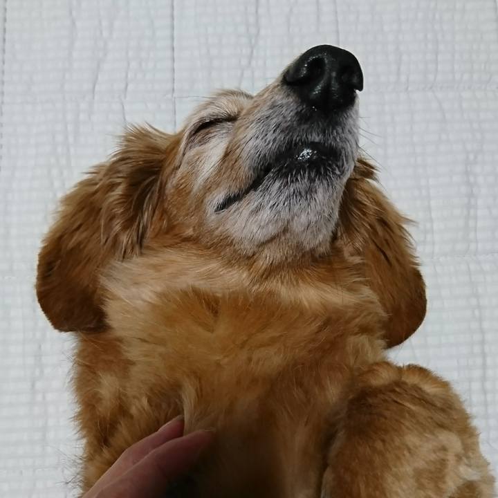 17e3263f 9050 4feb bbef 31e696cc4d3c